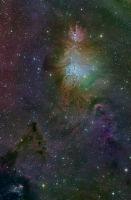 NGC2264